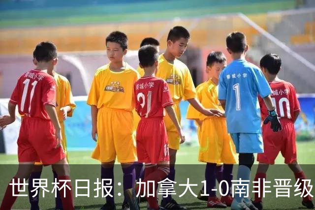 世界杯日报：加拿大1-0南非晋级创历史 韩国主帅洪明甫下课