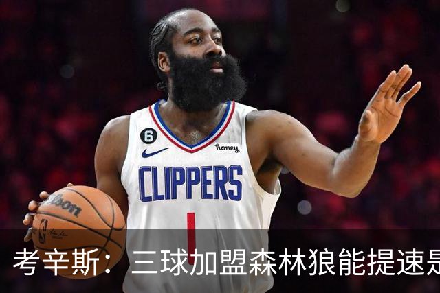 考辛斯：三球加盟森林狼能提速是加分项 他和爱德华兹非常契合